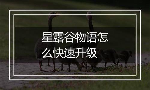 星露谷物语怎么快速升级