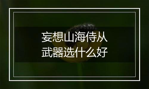 妄想山海侍从武器选什么好