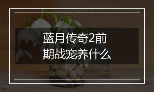 蓝月传奇2前期战宠养什么