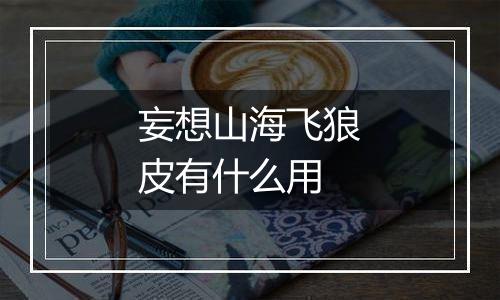 妄想山海飞狼皮有什么用