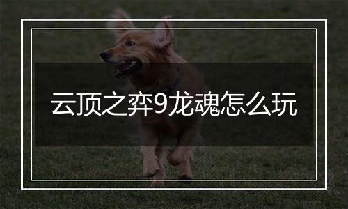 云顶之弈9龙魂怎么玩