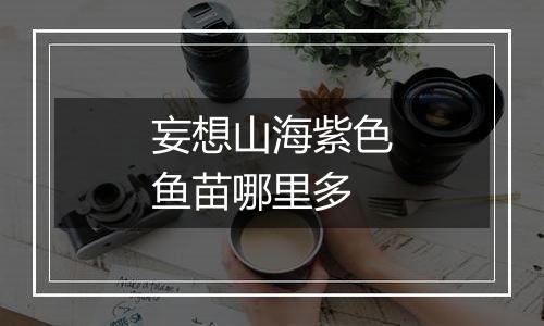 妄想山海紫色鱼苗哪里多