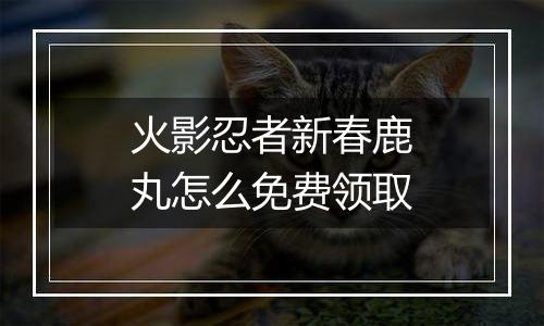 火影忍者新春鹿丸怎么免费领取