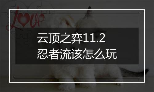 云顶之弈11.2忍者流该怎么玩