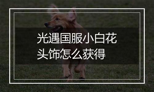 光遇国服小白花头饰怎么获得