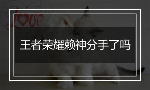 王者荣耀赖神分手了吗