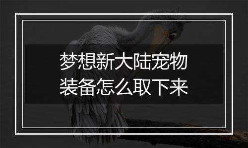 梦想新大陆宠物装备怎么取下来