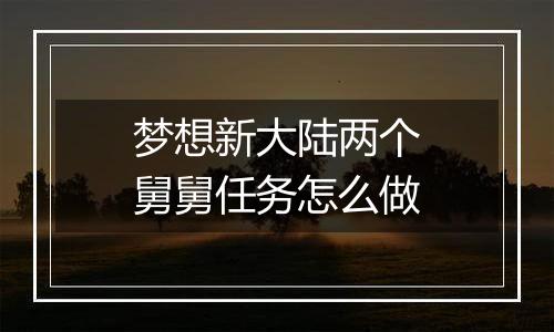 梦想新大陆两个舅舅任务怎么做