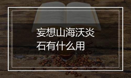 妄想山海沃炎石有什么用