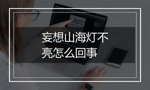 妄想山海灯不亮怎么回事