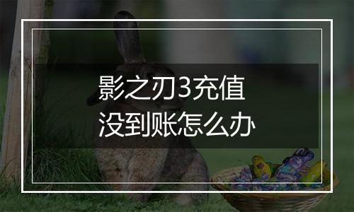 影之刃3充值没到账怎么办