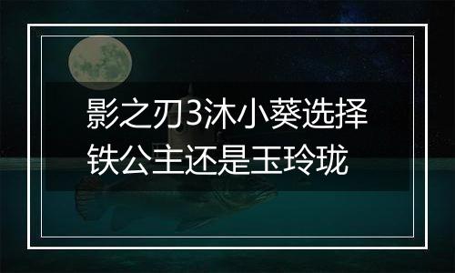 影之刃3沐小葵选择铁公主还是玉玲珑