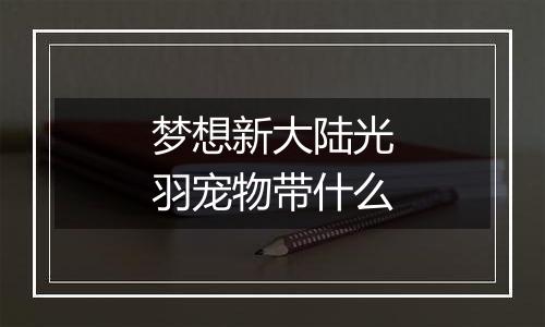 梦想新大陆光羽宠物带什么