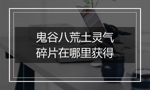 鬼谷八荒土灵气碎片在哪里获得