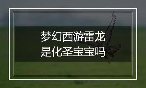 梦幻西游雷龙是化圣宝宝吗