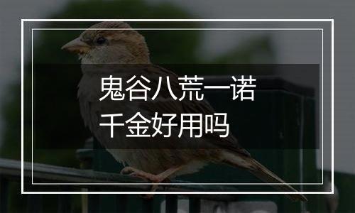 鬼谷八荒一诺千金好用吗