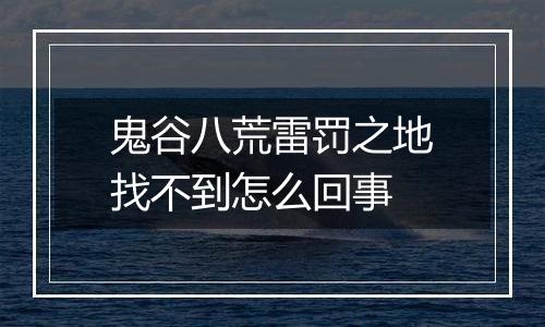 鬼谷八荒雷罚之地找不到怎么回事
