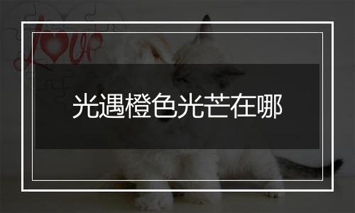 光遇橙色光芒在哪