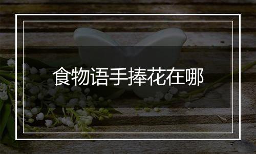 食物语手捧花在哪