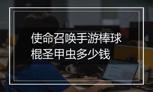 使命召唤手游棒球棍圣甲虫多少钱