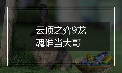 云顶之弈9龙魂谁当大哥