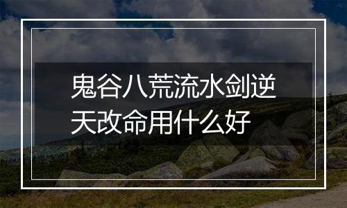 鬼谷八荒流水剑逆天改命用什么好