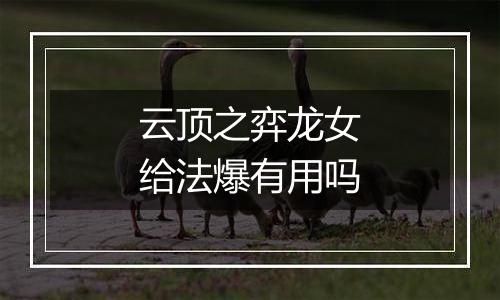 云顶之弈龙女给法爆有用吗
