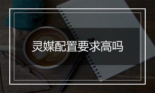 灵媒配置要求高吗