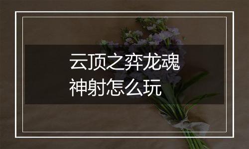 云顶之弈龙魂神射怎么玩