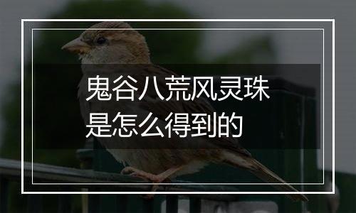 鬼谷八荒风灵珠是怎么得到的