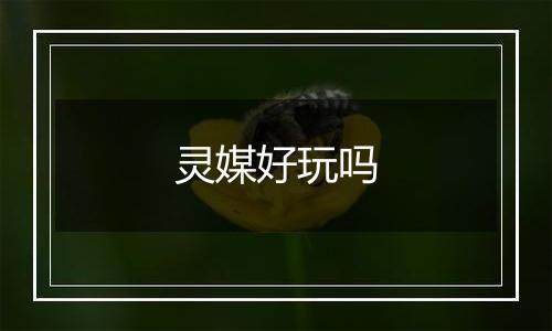 灵媒好玩吗