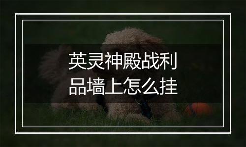 英灵神殿战利品墙上怎么挂