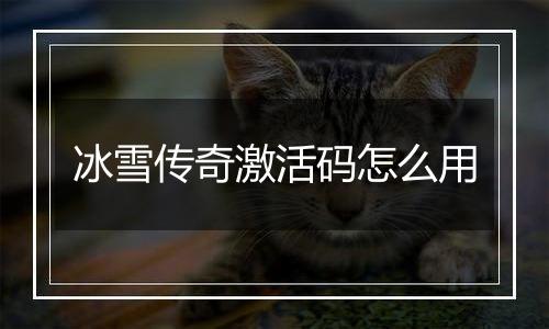 冰雪传奇激活码怎么用