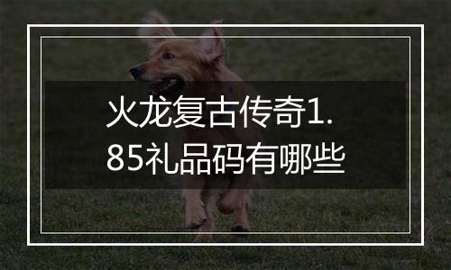 火龙复古传奇1.85礼品码有哪些