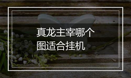 真龙主宰哪个图适合挂机