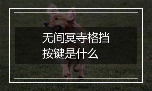 无间冥寺格挡按键是什么