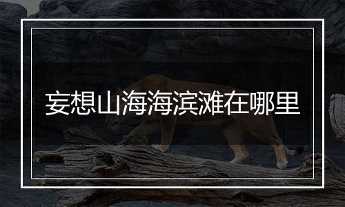 妄想山海海滨滩在哪里