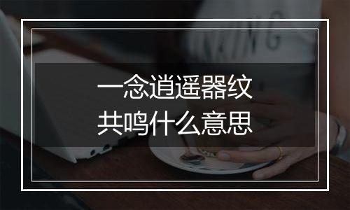 一念逍遥器纹共鸣什么意思