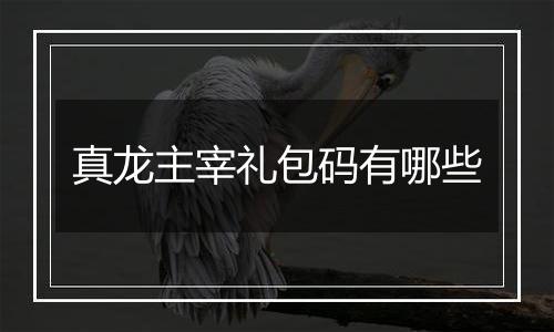 真龙主宰礼包码有哪些
