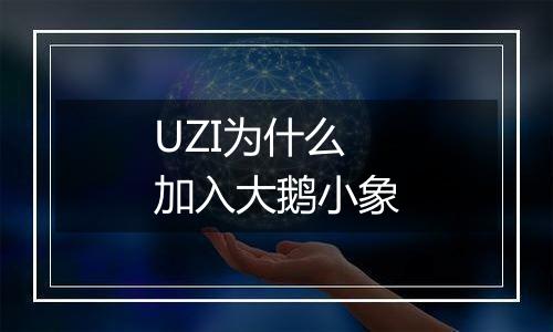 UZI为什么加入大鹅小象