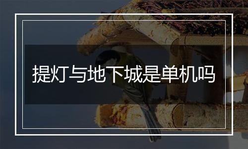 提灯与地下城是单机吗