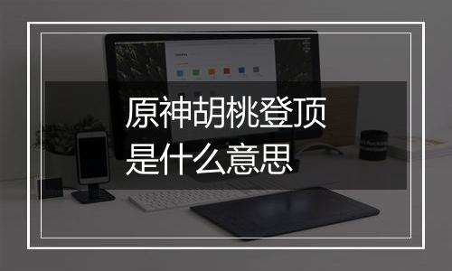 原神胡桃登顶是什么意思
