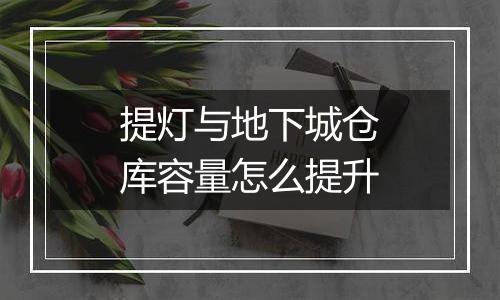 提灯与地下城仓库容量怎么提升