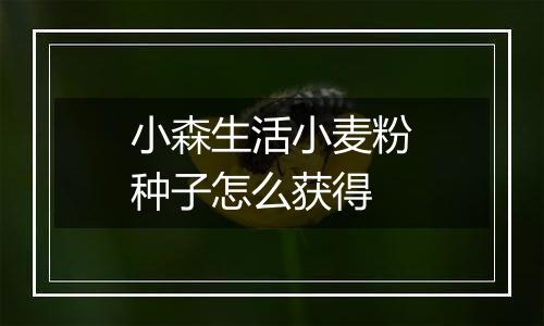 小森生活小麦粉种子怎么获得