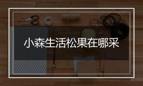 小森生活松果在哪采