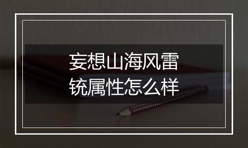妄想山海风雷铳属性怎么样