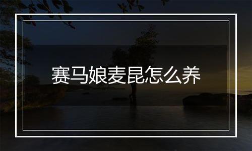 赛马娘麦昆怎么养