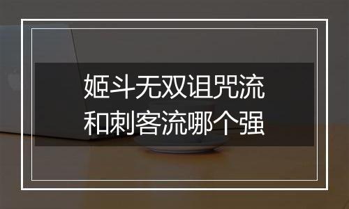 姬斗无双诅咒流和刺客流哪个强