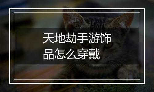 天地劫手游饰品怎么穿戴