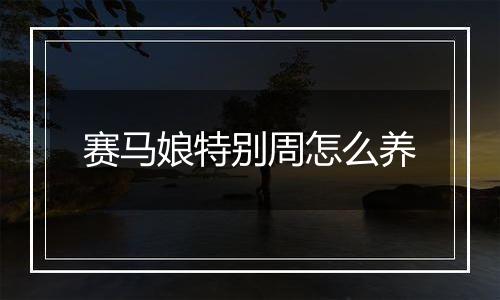 赛马娘特别周怎么养